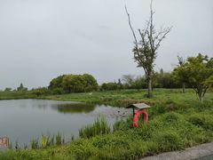 -良渚古城遗址公园