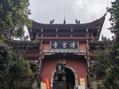 -铁山坪森林公园