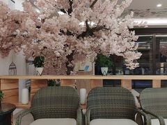 -汤里来温泉
