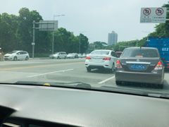 -细村农贸综合市场
