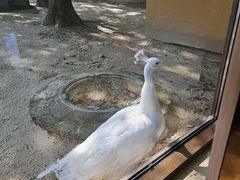 -宁波九龙湖开元度假村