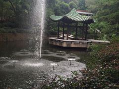 -九龙公园