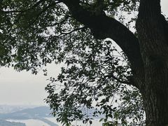 -九曜山