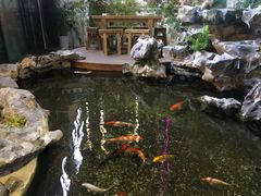 -道南書院·私房菜·早午茶·茶馆