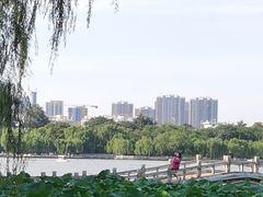 -济南大明湖景区