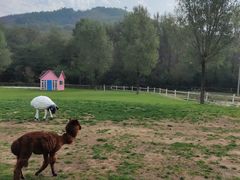 -大连铭湖国际观光牧场
