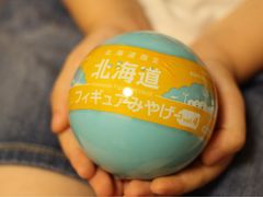-富田农场