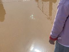 -日照海滨国家森林公园