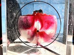 -上海琉璃艺术博物馆