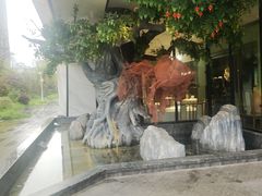 -院里寻菜·精致庭院菜(观沙岭店)