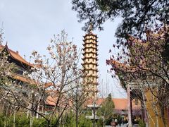 -正觉寺