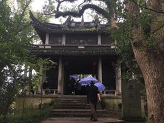 -溪口-滕头旅游景区