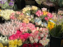 -循礼门鲜花花市(武汉循礼门店)