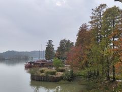 -东湖落雁景区