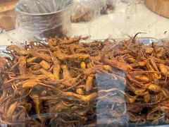 -顺城金记卤鸡·清真