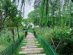 -金银湖国家城市湿地公园
