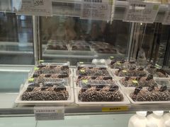 -奈雪的茶(振华商厦店)