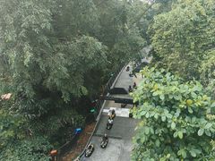 -圣淘沙天际线斜坡滑车