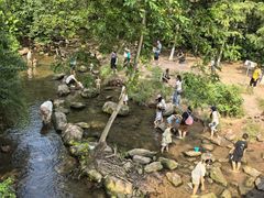 -重庆彩云湖湿地公园