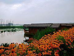 -池杉湖湿地公园