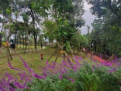 -铁山坪森林公园