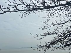 -深圳湾公园(南山区)