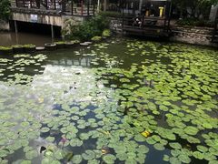 -鹅滋道(甘坑古镇店)