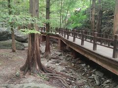 -国家植物园南园