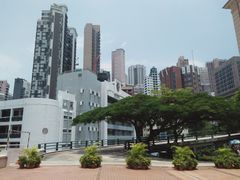 -香港大学