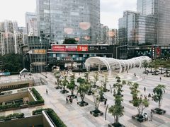 -润园四季椰子鸡火锅(南山海岸城店)