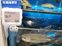 水产区-盒马鲜生(皇庭广场店)