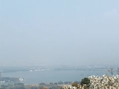-香雪海