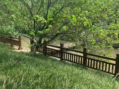 -桤木河湿地公园