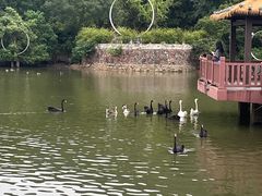 -无锡动物园·太湖欢乐园