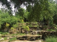 -井塘古村