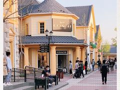-COACH蔻驰(赛特奥特莱斯店)
