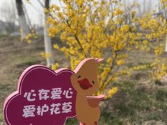 -天津东丽湖风景区