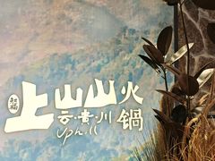 -后院烤吧·木炭烧烤·烤鱼·云贵川火锅(忻州古城店)