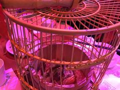 胡桃里烤鸡-胡桃里音乐酒馆(曲江店)