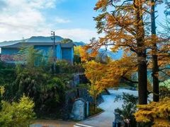 -四明湖