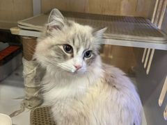 -老炮儿轰趴团建KTV桌游棋牌主题馆(五道口店（底商店))