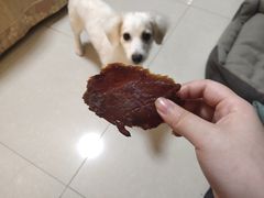 -钜记手信(新马路旗舰店)