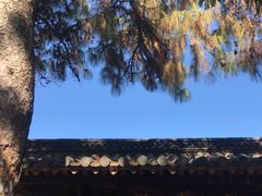 -建水文庙