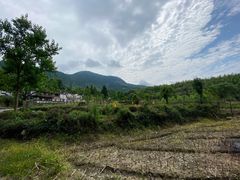 -塔川景区