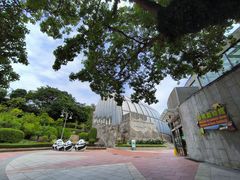 -石排湾郊野公园
