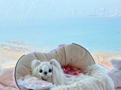 -纳吉亚猫专科动物医院·北北分院
