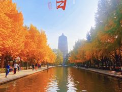 -玲珑塔公园