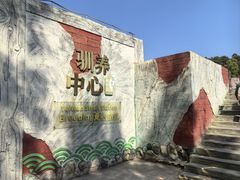 -广东惠东海龟国家级自然保护区