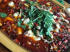 董记肥肠鱼-双流老字号董蹄花(机场南四路店)