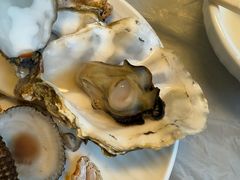 -宾朋海鲜特色美食餐厅·纯手工鲅鱼水饺(兴海路店)